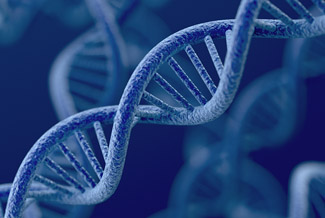 gh genetics department